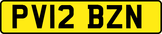 PV12BZN