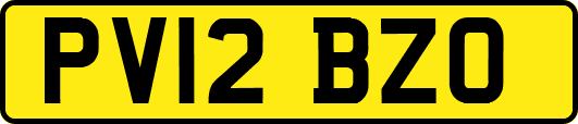 PV12BZO