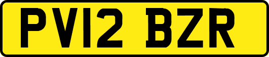 PV12BZR