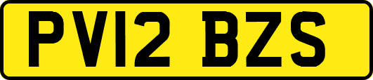 PV12BZS