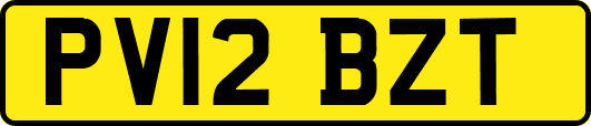 PV12BZT