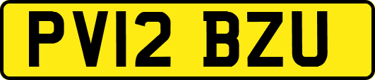 PV12BZU