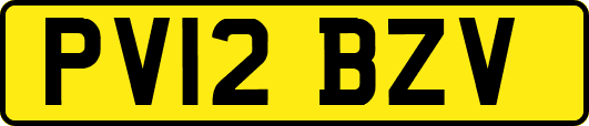 PV12BZV