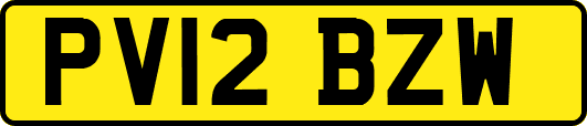 PV12BZW