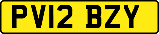 PV12BZY