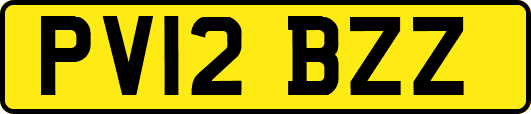 PV12BZZ