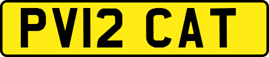 PV12CAT