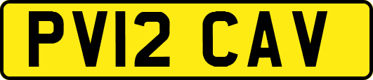 PV12CAV