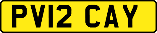PV12CAY