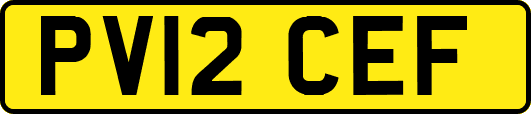 PV12CEF