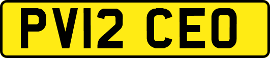 PV12CEO