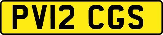PV12CGS