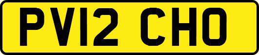 PV12CHO
