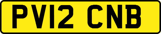 PV12CNB