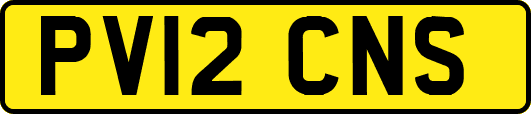 PV12CNS