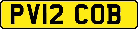 PV12COB