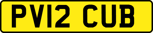 PV12CUB