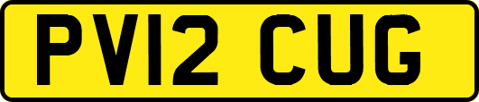PV12CUG