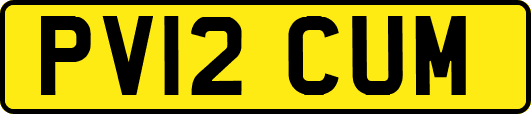 PV12CUM