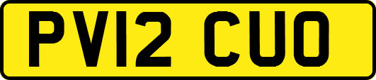 PV12CUO