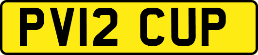 PV12CUP