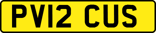 PV12CUS