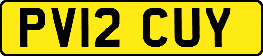 PV12CUY