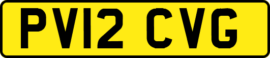 PV12CVG