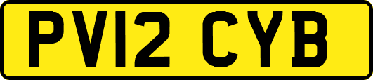 PV12CYB
