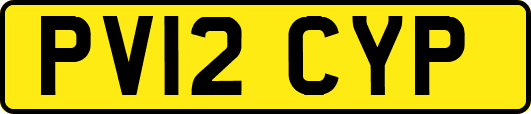 PV12CYP