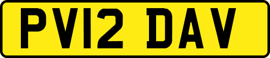 PV12DAV