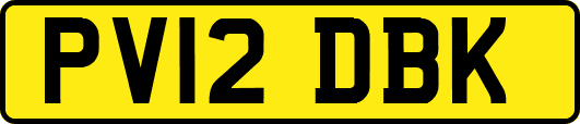 PV12DBK