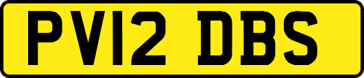 PV12DBS