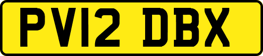 PV12DBX