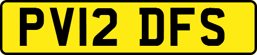PV12DFS