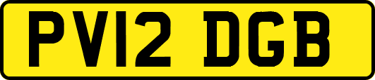PV12DGB