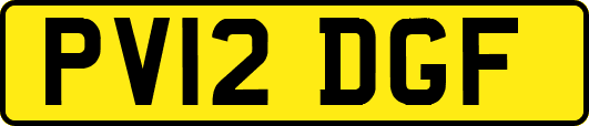 PV12DGF