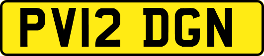 PV12DGN