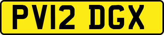 PV12DGX