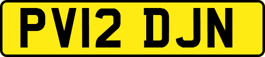 PV12DJN
