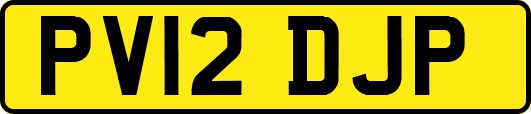 PV12DJP