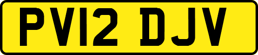 PV12DJV