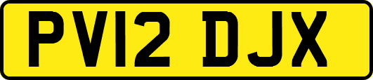 PV12DJX