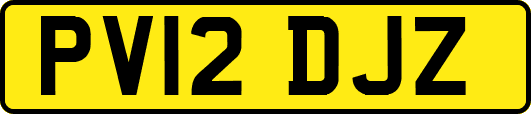PV12DJZ