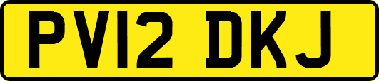 PV12DKJ
