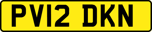 PV12DKN