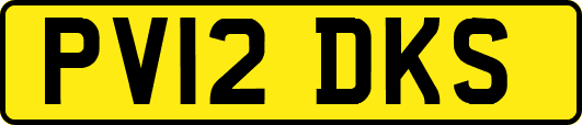 PV12DKS