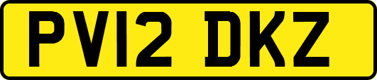 PV12DKZ