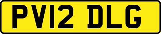 PV12DLG