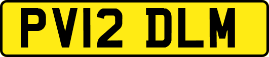 PV12DLM